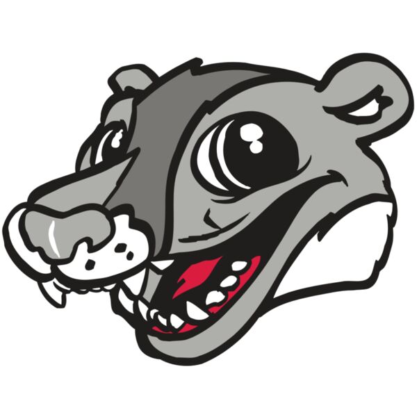 AR WOLVERINE 12 RC Thumbnail